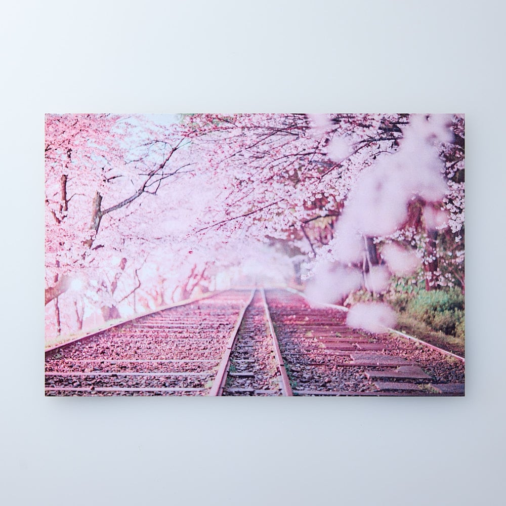 ポストカード「京都四季の絶景」6枚セット | DaikiInada