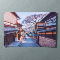 追憶の春｜ポストカード