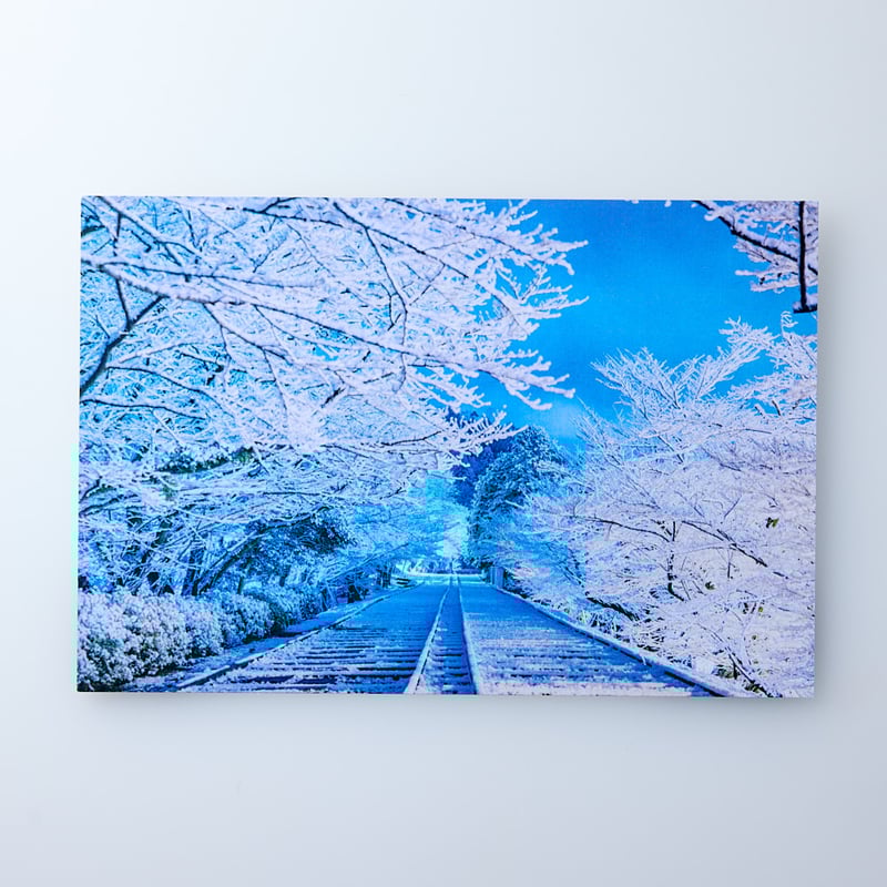 枯れた花に涙を　初版特典　フォトカード　シュリンクつき　新品未開封 新品・未開封 Xross Stars(クロススターズ) ブースターパック第1弾