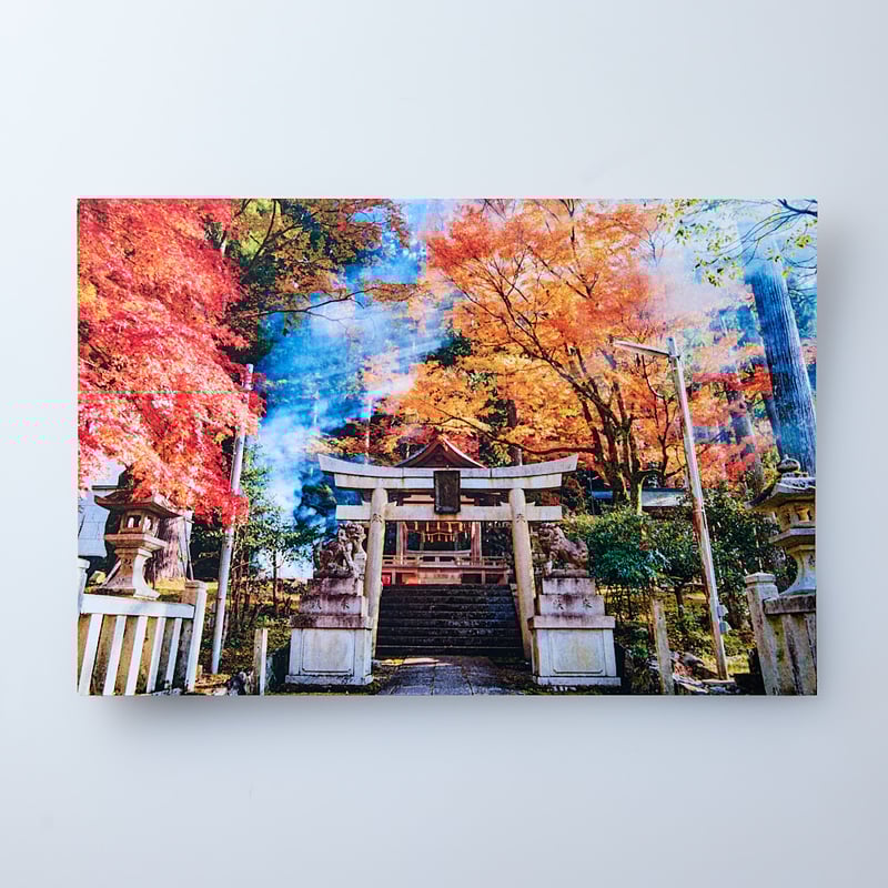 枯れた花に涙を　初版特典　フォトカード　シュリンクつき　新品未開封 Kyoji Takahashi: Lost time *signed高橋恭司 *署名本 - 古本買取 2手