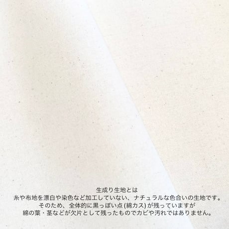【デニム 】owner's bag（WHITE）