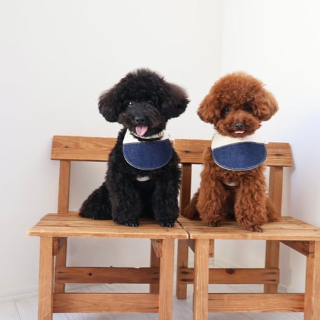 【デニム WHITE】dog bib（S)