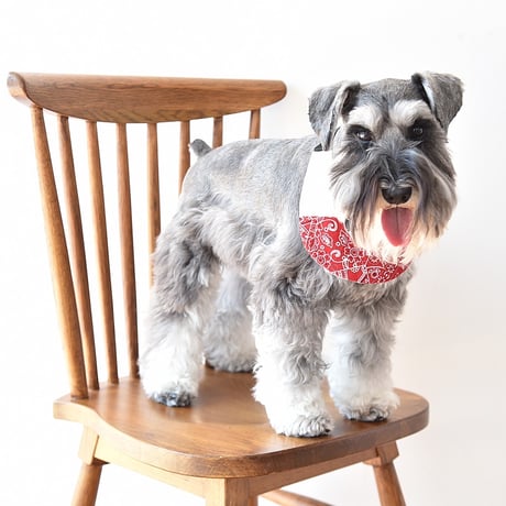 【ペイズリー BLUE】dog bib（M)
