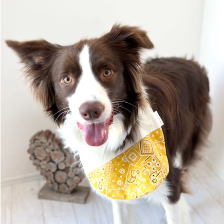 【ペイズリー RED】dog bib（M)