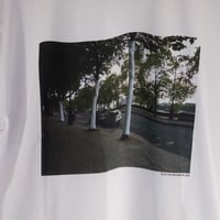 THE HACKLEBERRY / WHITE TREES (WHITE)