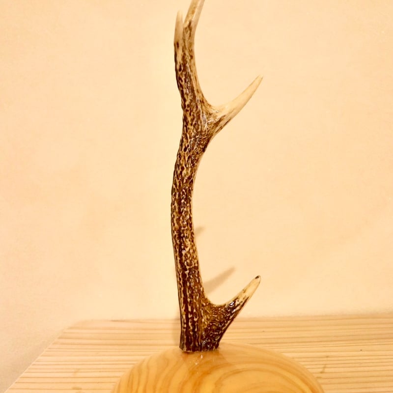 アクセサリースタンドS【ヒノキ1】 | cycle