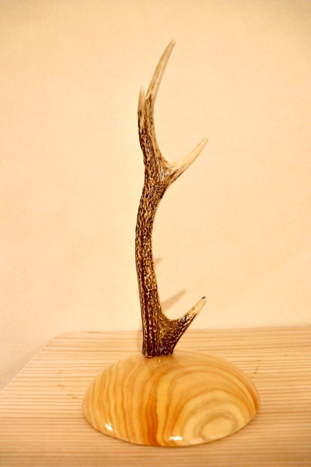 【セール品】岐阜 鹿角とひのきのアクセサリースタンド アクセサリースタンドS【ヒノキ1】 | cycle