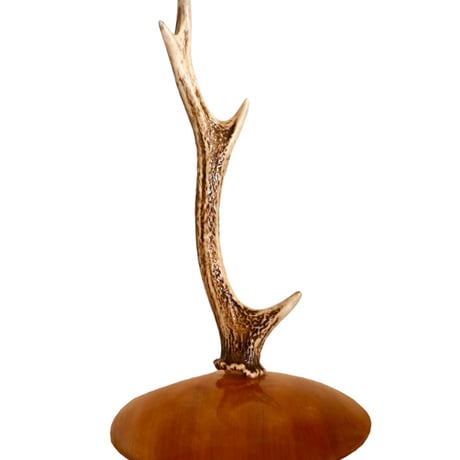 CATEGORY 鹿の角アクセサリースタンド | cycle