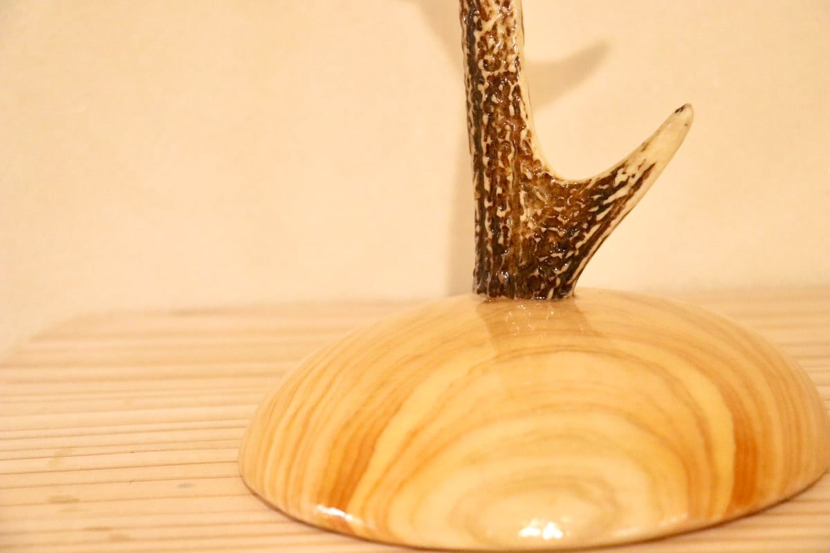 アクセサリースタンドS【ヒノキ1】 | cycle