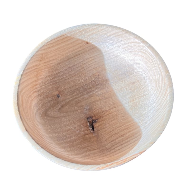 サラダボウルM【クリ2】 | cycle