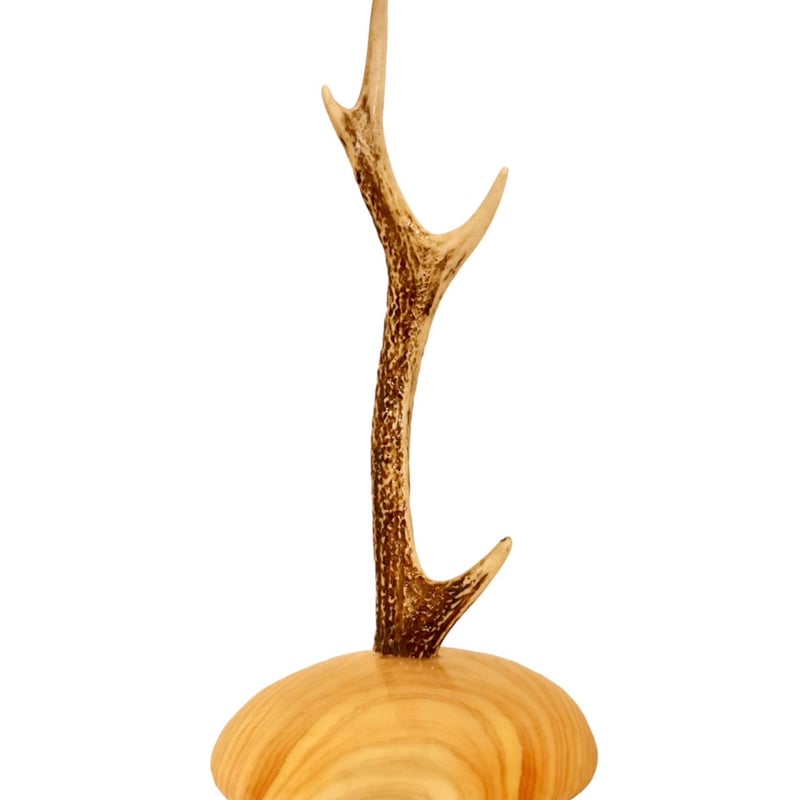 アクセサリースタンドS【ヒノキ1】 | cycle