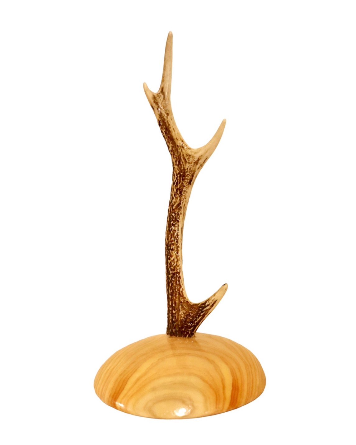 鹿角とひのきのアクセサリースタンド 鹿角とひのきのアクセサリースタンド 🦌鹿の角アクセサリースタンド