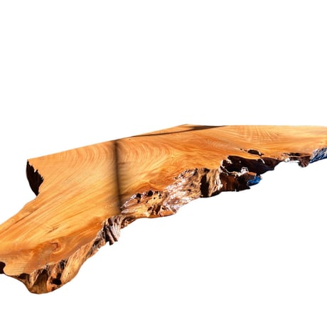 CATEGORY ケヤキ | cycle