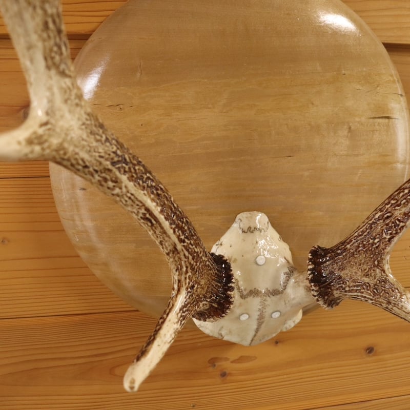 ハンティングトロフィー（掛）【ホオ1】 | cycle