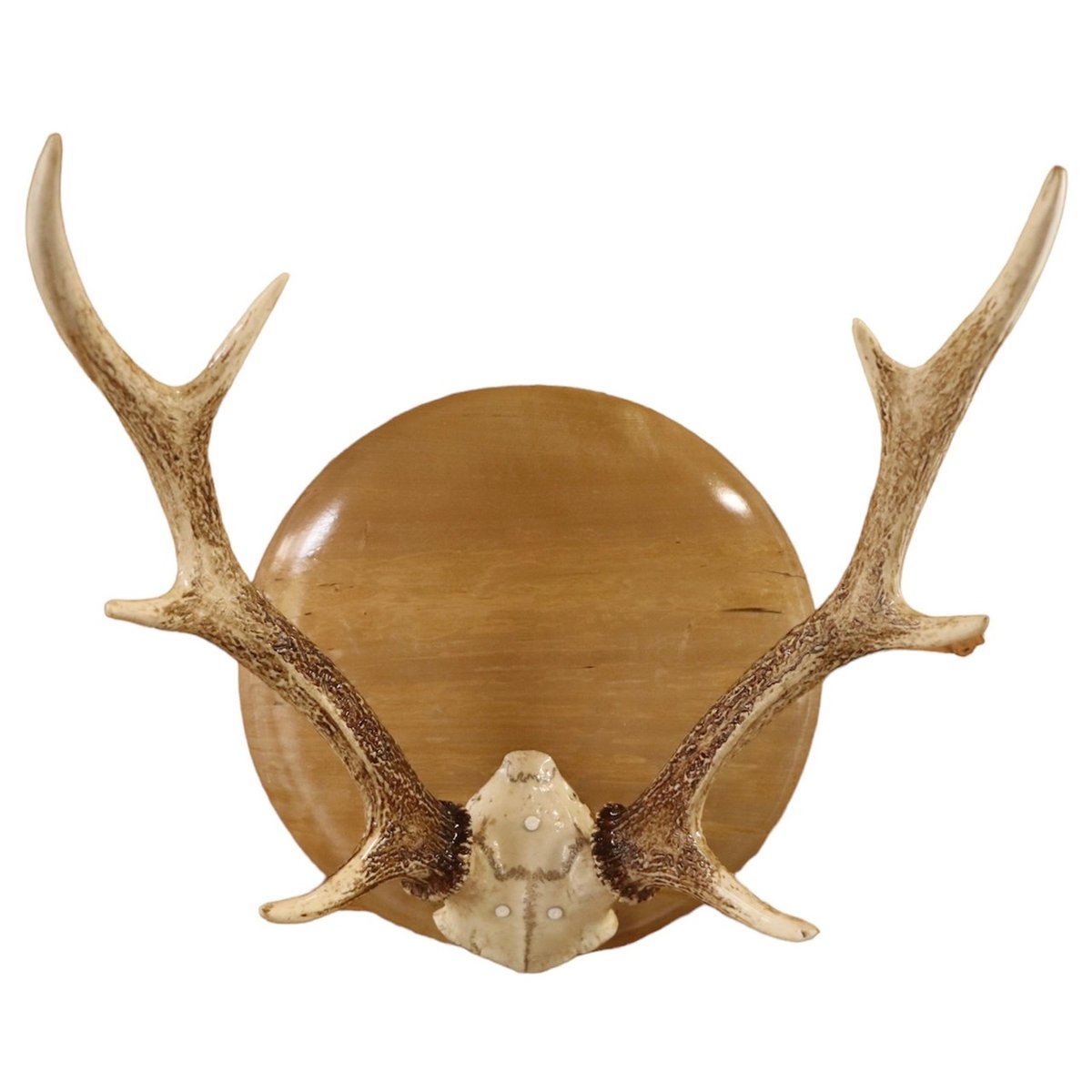 K.J ハンティングトロフィー K.J ハンティングトロフィー バイク用品｜KUSHITANI JAPAN