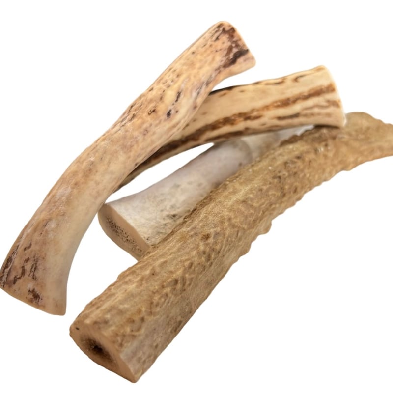 鹿の角 デンタルケアM（犬用1本） | cycle