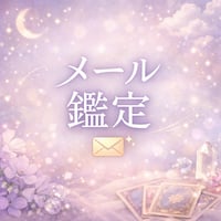 メール鑑定（文章のみ・2件まで）
