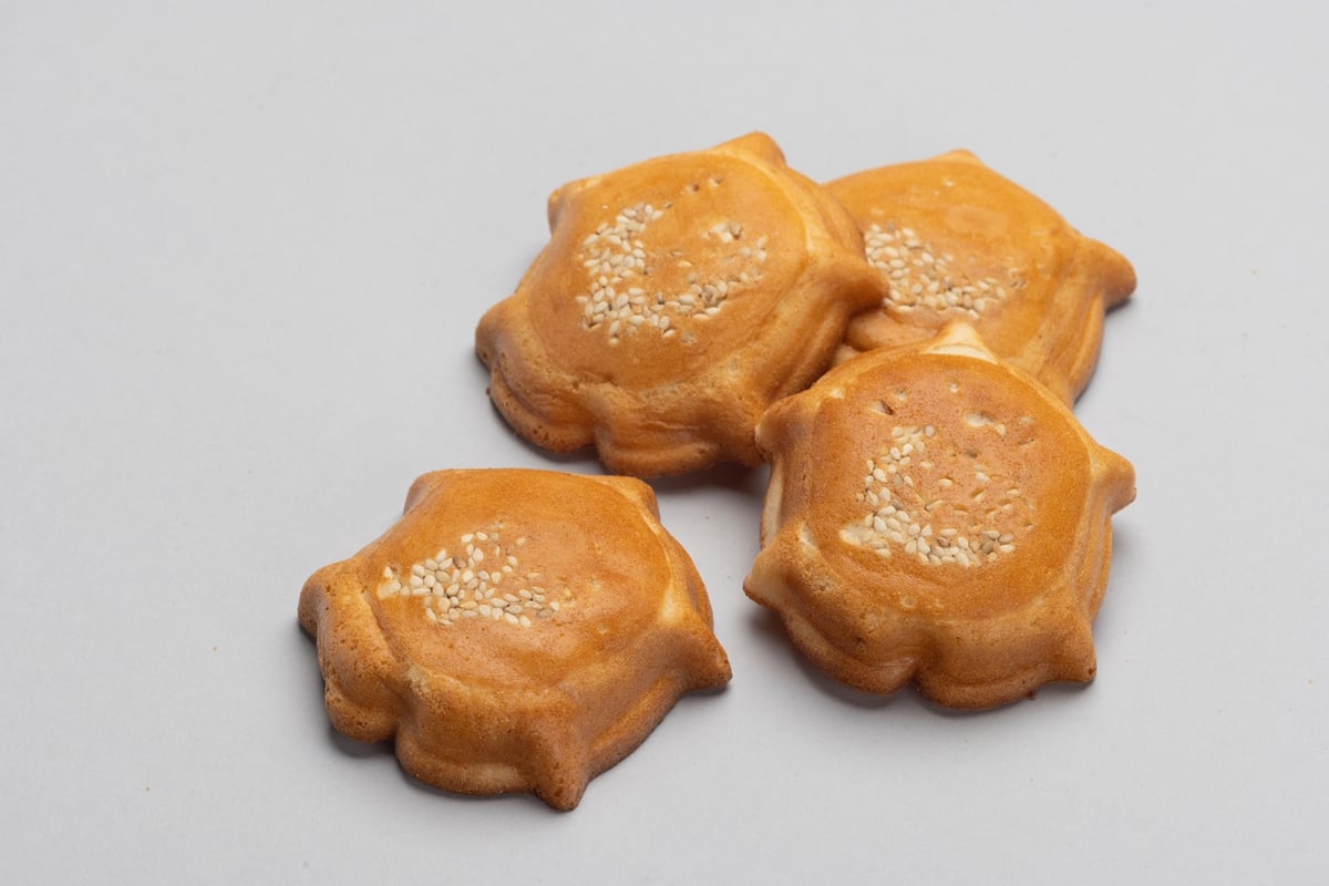 江戸末〜明治　色備前　色絵　蓑亀　煎餅皿　5客セット 江戸末〜明治 色備前 色絵 蓑亀 煎餅皿 5客セット Antique Sam's