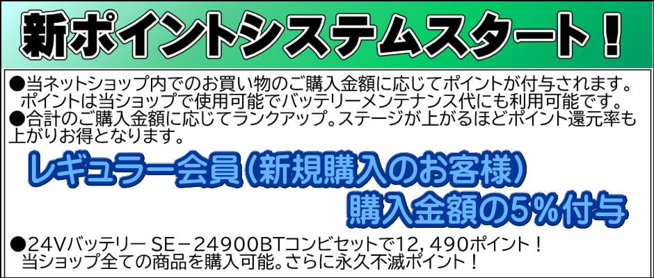 永久不滅ポイントシステム