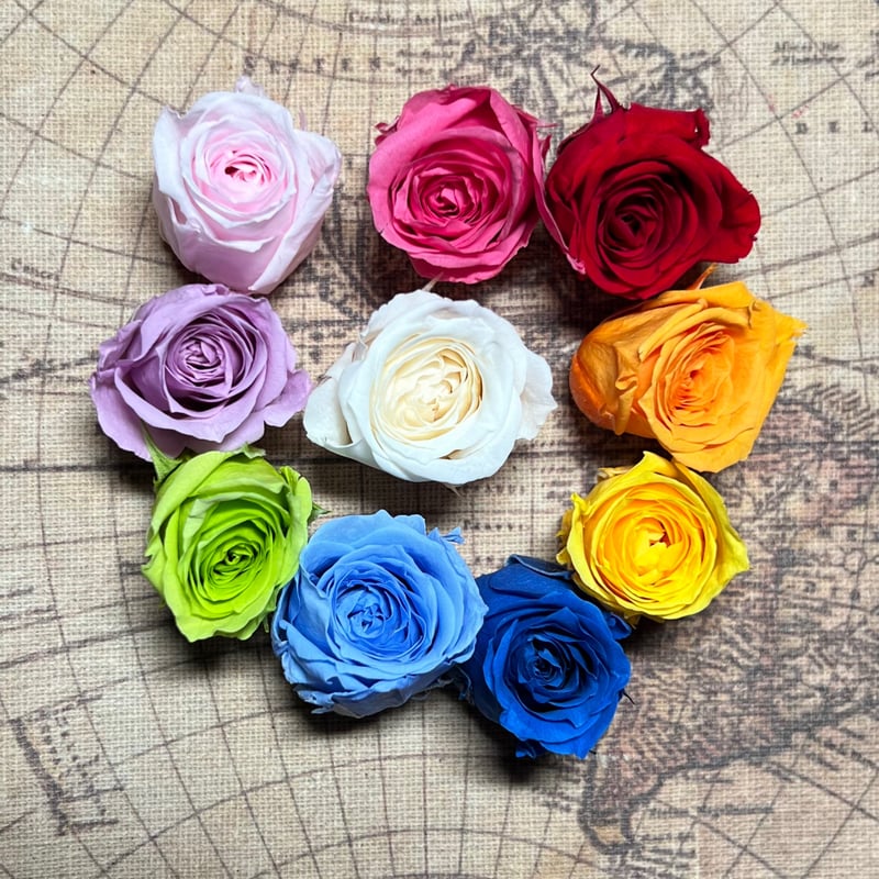 似顔絵ボックスアート キャビネットサイズ(プリザーブドフラワーor造花