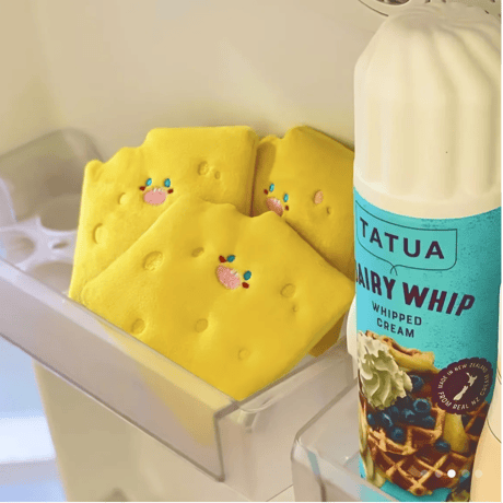 ノーズワークトイ　チーズ