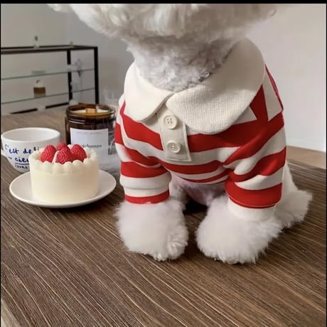 ボーダーポロシャツ（Red）