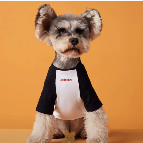 犬刺繍ラグランTシャツ