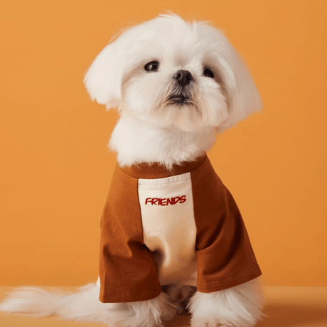犬刺繍ラグランTシャツ