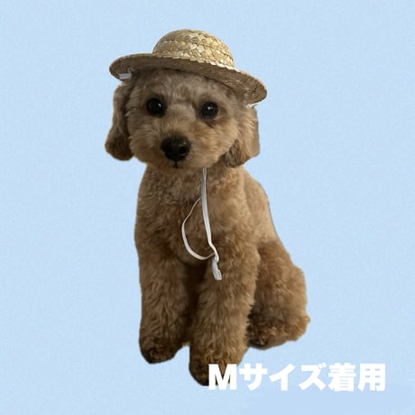 麦わら帽子