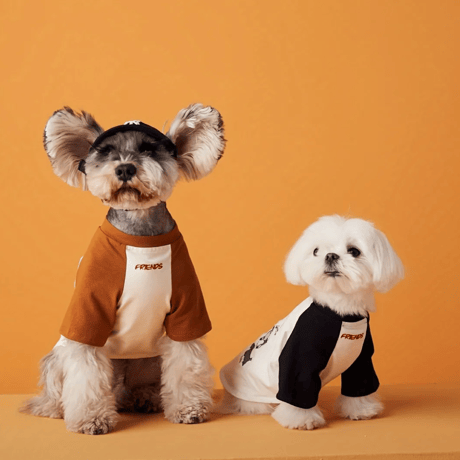 犬刺繍ラグランTシャツ