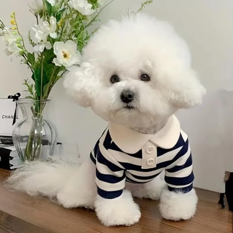 ボーダーポロシャツ（Navy）