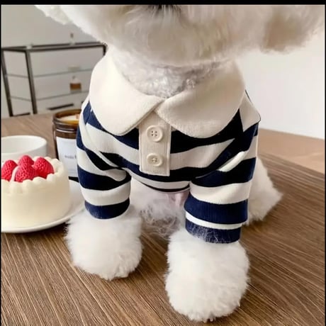 ボーダーポロシャツ（Navy）