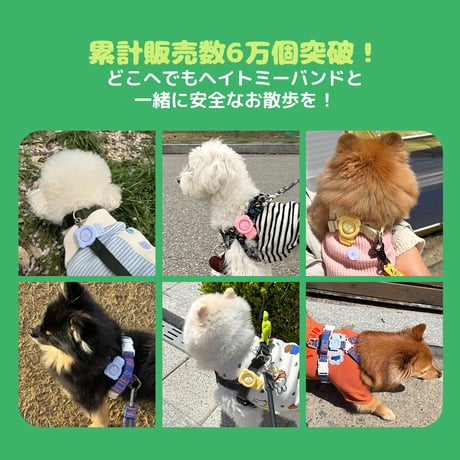ヘイトミーバンド