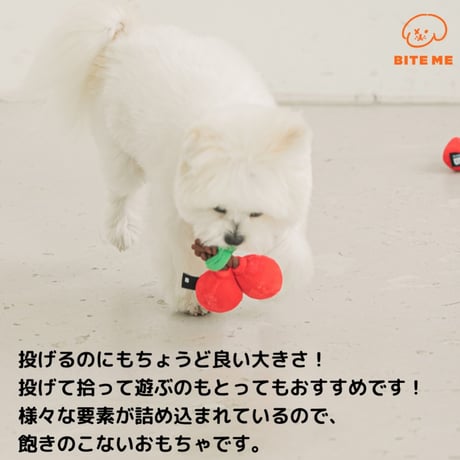 チェリーロープトイ