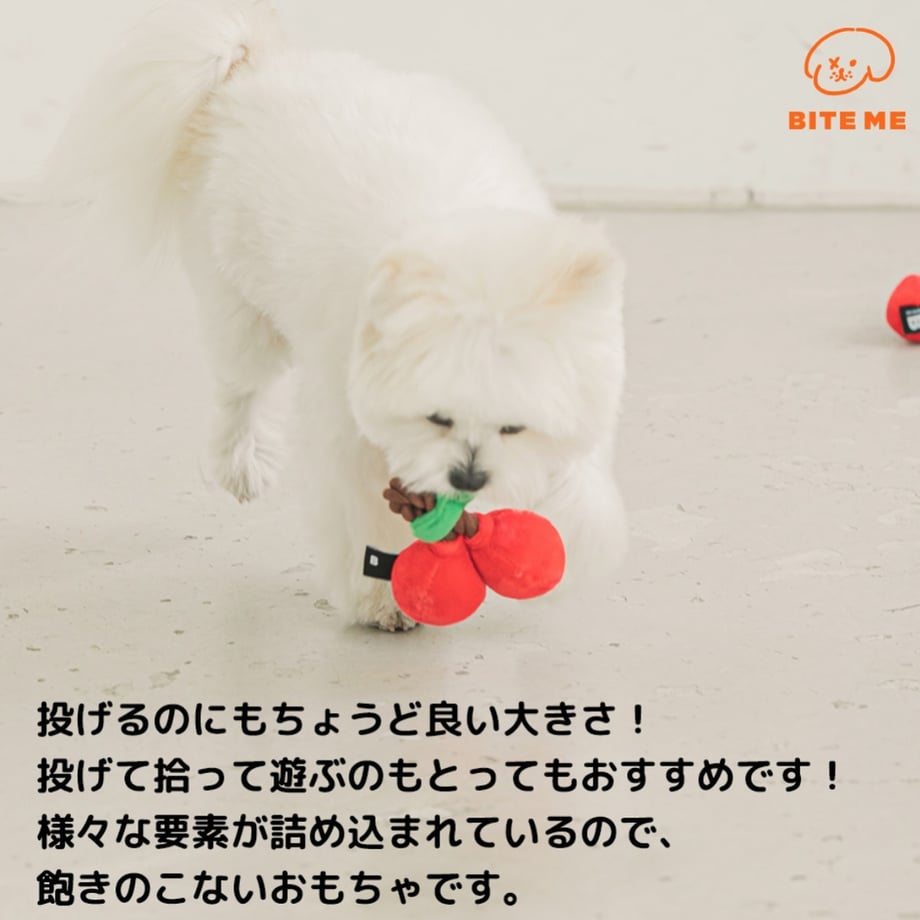 6736b18750f81d023bfe5e02