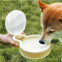 ウォーターディッシュ