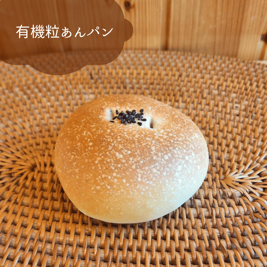 65f2f084dbcf250d636bdfbd