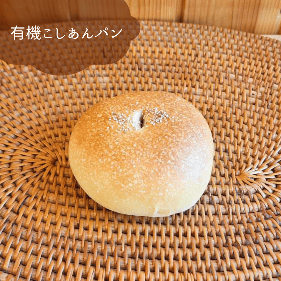 65f2f084dbcf250d636bdfbd