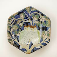Hexagon plate / Two owls