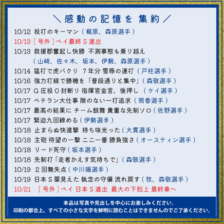 横浜DeNAベイスターズ×神奈川新聞 日本一記念レジャーシート（特別号外付き）