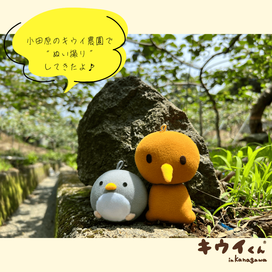 自作ぬいぐるみ・キウイチョコくん キウイくん® マスコットぬいぐるみ（オリジナルステッカー付き