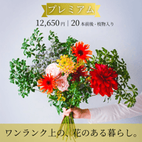 毎月届く 花の定期便・サブスク｜プレミアム（20本前後・枝物入り）