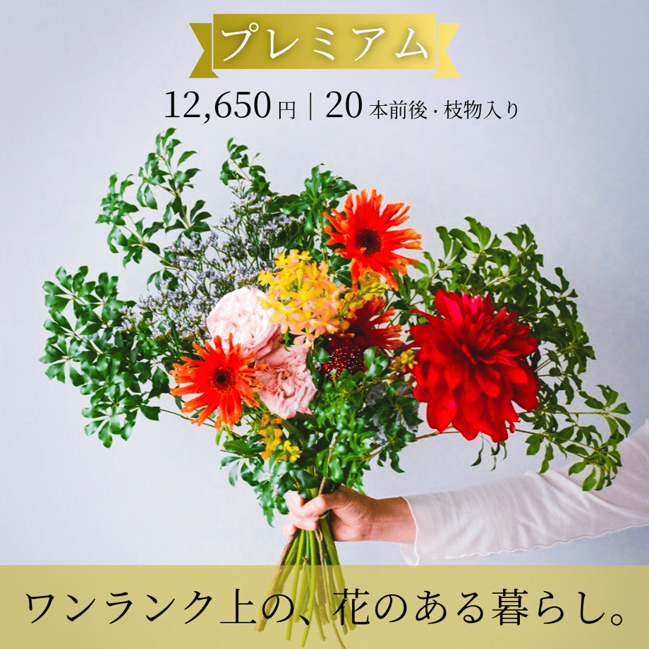 69942ec8efd70e169e7e56ee