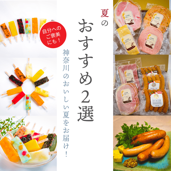 ＼夏のおすすめ２選／