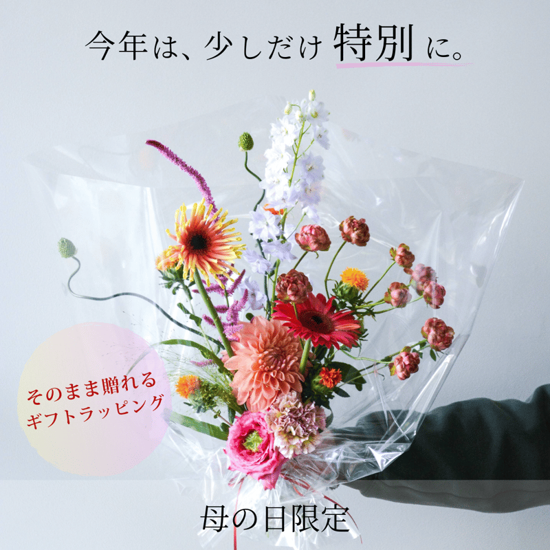 母の日ギフト】湘南・逗子「橘」｜母の日限定フラワーアレンジメント