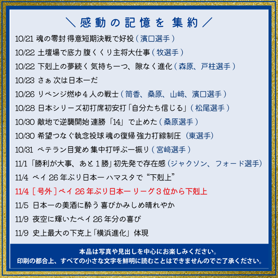 横浜DeNAベイスターズ×神奈川新聞 日本一記念レジャーシート