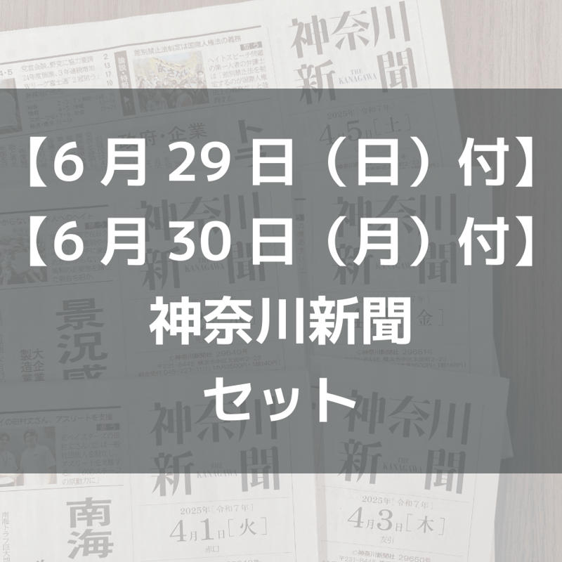 全国版　月刊　百貨店新聞広告集 全国版 月刊 百貨店新聞広告集