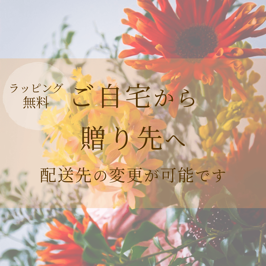 69942ec8efd70e169e7e56ee