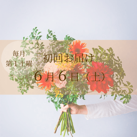 毎月届く 花の定期便・サブスク｜プレミアム（20本前後・枝物入り）