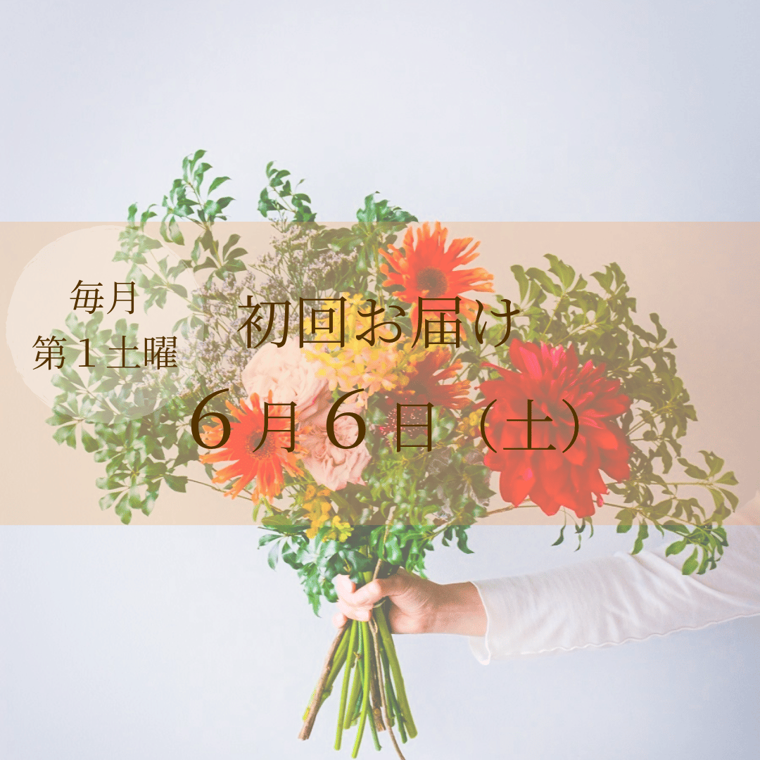 毎月届く 花の定期便・サブスク｜プレミアム（20本前後・枝物入り